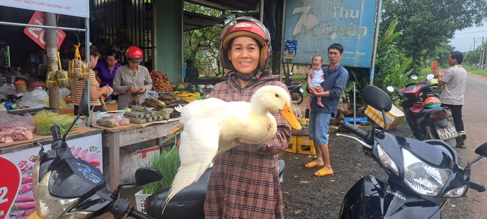 Nhiều gia đ&igrave;nh kh&ocirc;ng nu&ocirc;i vịt, phải ra qu&aacute;n mua đem về chế biến.