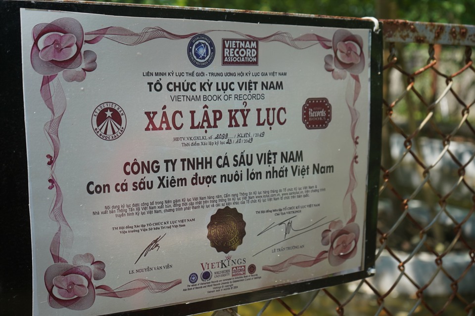 Ngắm con cá sấu lớn nhất Việt Nam trong trang trại 10.000 m2 - Ảnh 2