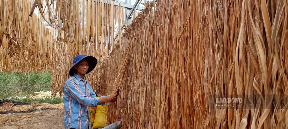 Theo &ocirc;ng L&acirc;m Quốc To&agrave;n - Ph&oacute; Chủ tịch Hội N&ocirc;ng d&acirc;n tỉnh Ki&ecirc;n Giang, trước nay người d&acirc;n trồng chuối chỉ b&aacute;n tr&aacute;i, bắp n&ecirc;n thu nhập kh&ocirc;ng ổn định, gi&aacute; tăng giảm thất thường. &ldquo;HTX đ&atilde; ph&aacute;t triển sản xuất d&acirc;y, sợi to chuối vừa tận dụng nguồn sẵn c&oacute; ở địa phương lại g&oacute;p phần bảo vệ m&ocirc;i trường. Hội cũng định hướng c&oacute; thể sẽ nh&acirc;n rộng m&ocirc; h&igrave;nh cho c&aacute;c nơi học hỏi, khai th&aacute;c để tạo ra gi&aacute; trị gia tăng, tạo việc l&agrave;m cho n&ocirc;ng d&acirc;n. L&acirc;u d&agrave;i th&agrave;nh lập th&ecirc;m c&aacute;c tổ hợp t&aacute;c sản xuất đồ thủ c&ocirc;ng mỹ nghệ sẽ giải quyết lượng lao động nh&agrave;n rỗi ở địa phương&rdquo;, &ocirc;ng To&agrave;n cho hay.