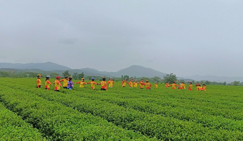 Nhiều đo&agrave;n kh&aacute;ch du lịch lựa chọn tham quan, trải nghiệm tại c&aacute;c đồi ch&egrave; sinh th&aacute;i ở v&ugrave;ng thượng huyện Hương Sơn