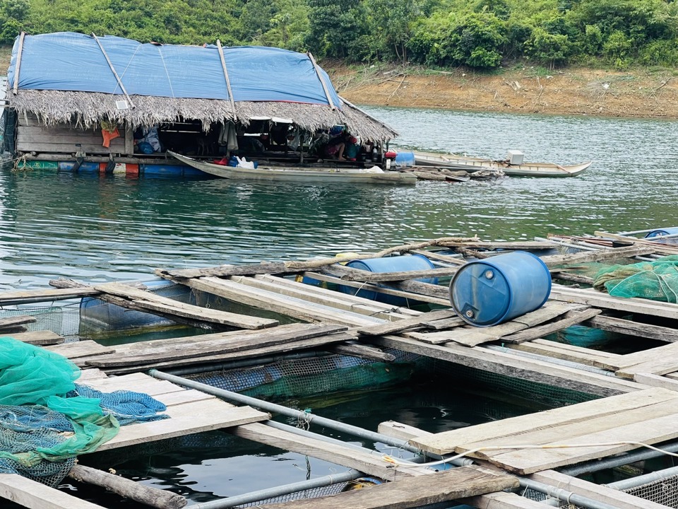 Lồng b&egrave; nu&ocirc;i c&aacute; của hộ &ocirc;ng Cao Văn Thanh.