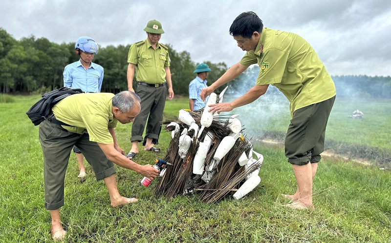 C&acirc;y nhạ bẫy chim v&agrave; cỏ giả l&agrave;m bằng xốp được thu gom, ti&ecirc;u hủy tại đồng ruộng