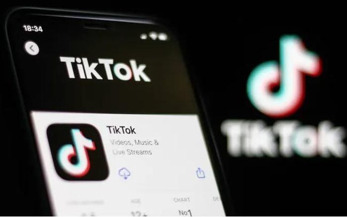 Tiktok bịphạt 379 triệu USD tại châu Âu.