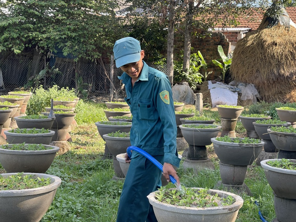 Mỗi năm, l&agrave;ng hoa n&agrave;y cung cấp h&agrave;ng trăm ngh&igrave;n chậu hoa cho thị trường Tết khắp c&aacute;c tỉnh, th&agrave;nh miền Trung v&agrave; T&acirc;y Nguy&ecirc;n.