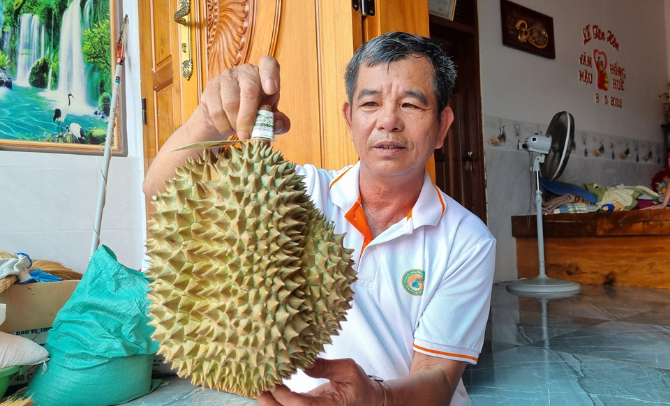 &Ocirc;ng Mai Văn Khang - một trong những n&ocirc;ng d&acirc;n được cấp m&atilde; số v&ugrave;ng trồng để xuất khẩu sang Trung Quốc.