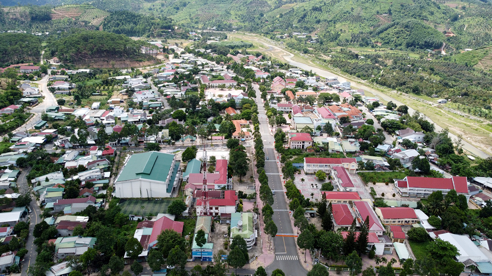 C&acirc;y sầu ri&ecirc;ng g&oacute;p phần gi&uacute;p kinh tế x&atilde; hội huyện miền n&uacute;i Kh&aacute;nh Sơn tăng trưởng.