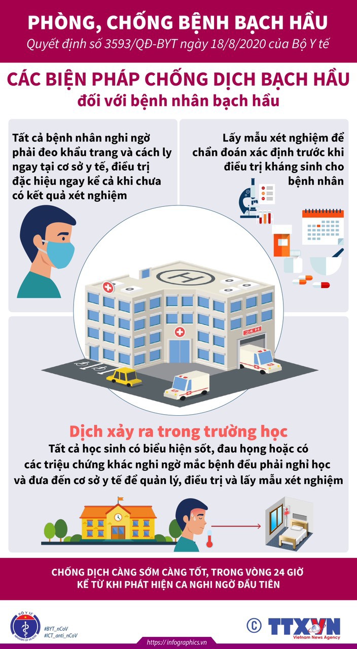 Bộ Y tế khuyến cáo phòng, chống bệnh bạch hầu - Ảnh 8