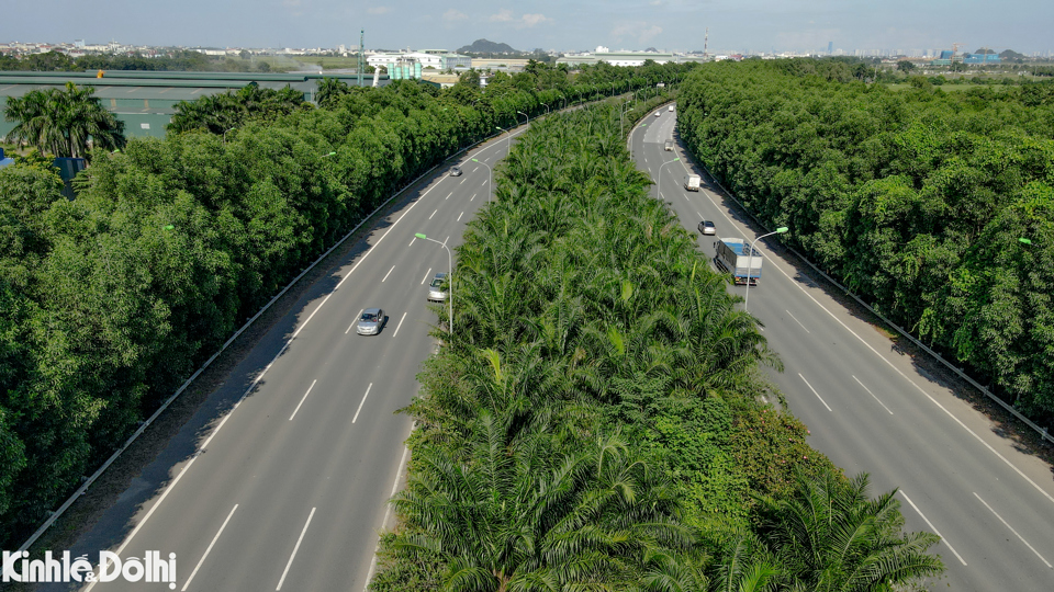 Ngo&agrave;i tổng chiều d&agrave;i gần 30km, Đại lộ Thăng Lăng c&oacute; chiều rộng 140m, gồm 2 dải đường cao tốc quy m&ocirc; mỗi chiều 3 l&agrave;n xe.