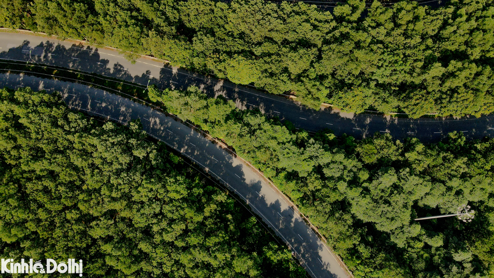 Ngắm nhìn hàng cây xanh mát ở đại lộ dài và hiện đại nhất Việt Nam - Ảnh 1