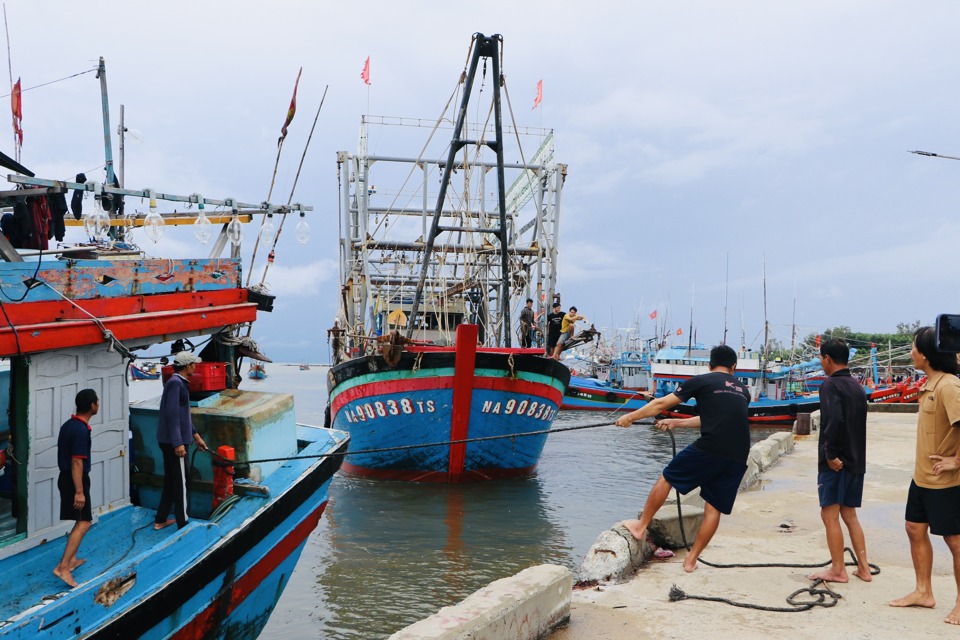 Ngư d&acirc;n đưa thuyền v&agrave;o nơi neo tr&uacute; an to&agrave;n.