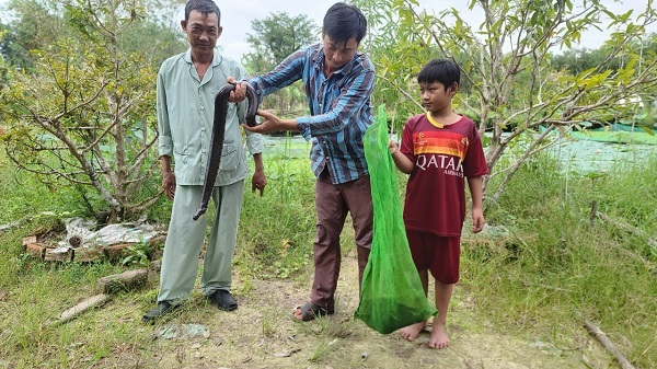 Sản vật rừng trong tự nhiên ở khu Du lịch Mười Ngọt