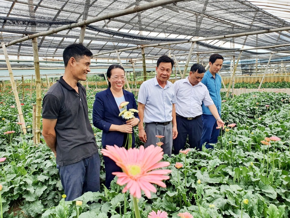 M&ocirc; h&igrave;nh trồng hoa đồng tiền của N&ocirc;ng d&acirc;n Thủ đ&ocirc; xuất sắc 2023 B&ugrave;i Văn Kh&aacute;, huyện Đan Phượng.&nbsp;