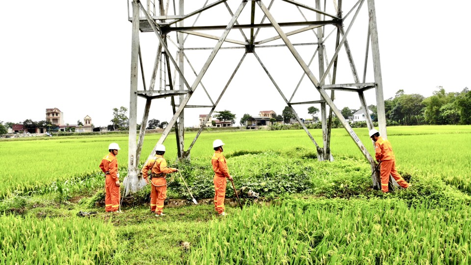 Truyền tải điện Thanh H&oacute;a kiểm tra cột đảm bảo điện th&ocirc;ng suốt. Ảnh: Khắc Ki&ecirc;n