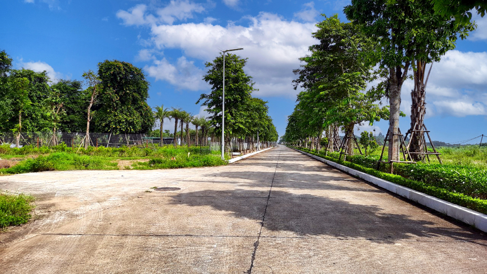 B&ecirc;n trong dự &aacute;n, c&aacute;c hạng mục thi c&ocirc;ng hạ tầng kỹ thuật, trồng c&acirc;y xanh cảnh quan v&agrave; đấu nối giao th&ocirc;ng dần đi v&agrave;o ho&agrave;n thiện.