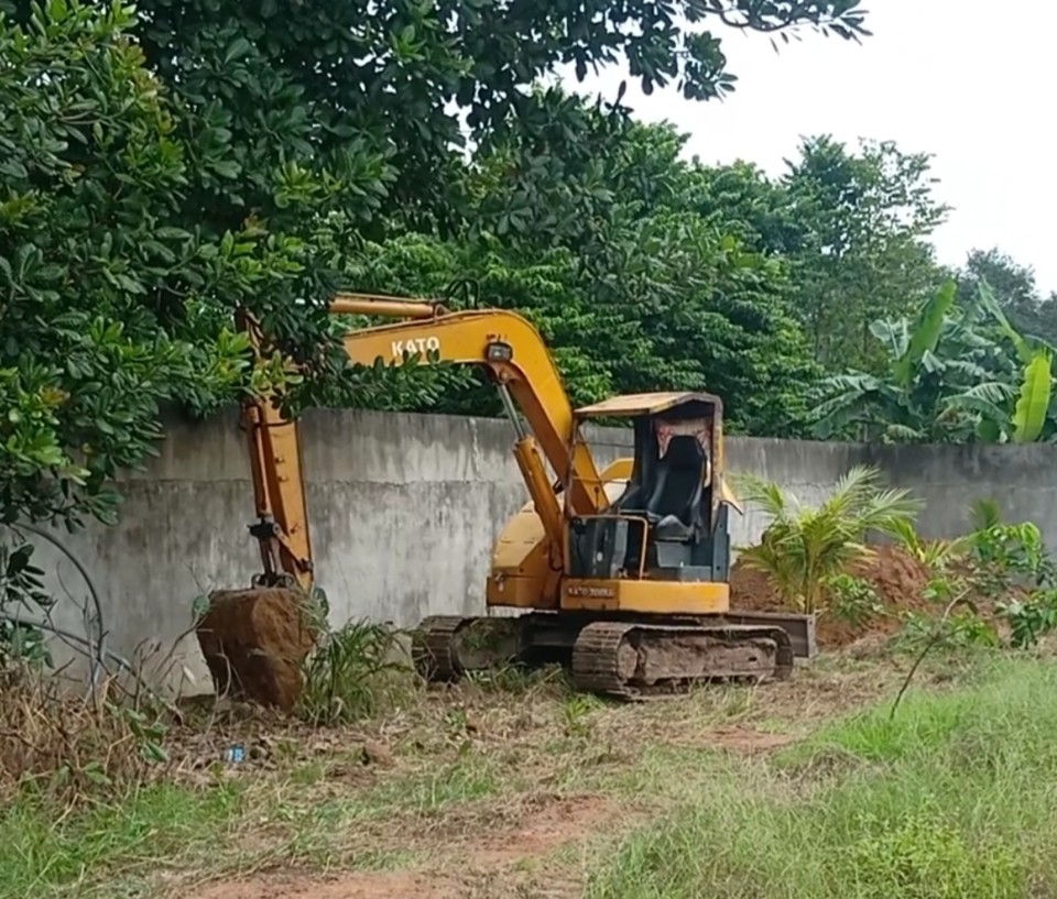 Xe chuy&ecirc;n dụng m&uacute;c hầm đất để thi&ecirc;u hủy số heo dịch bệnh.