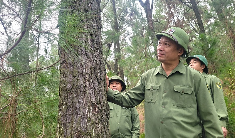 C&aacute;n bộ, nh&acirc;n vi&ecirc;n Ban Quản l&yacute; Rừng ph&ograve;ng hộ s&ocirc;ng Ng&agrave;n Phố tuần tra, bảo vệ rừng.