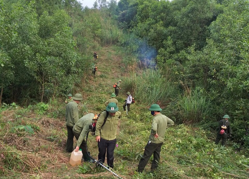 &nbsp;Ban Quản l&yacute; Rừng ph&ograve;ng hộ s&ocirc;ng Ng&agrave;n Phố huy động lực lượng, phương tiện sẻ ph&aacute;t đường băng cản lửa trong đợt cao điểm nắng n&oacute;ng.&nbsp; &nbsp;