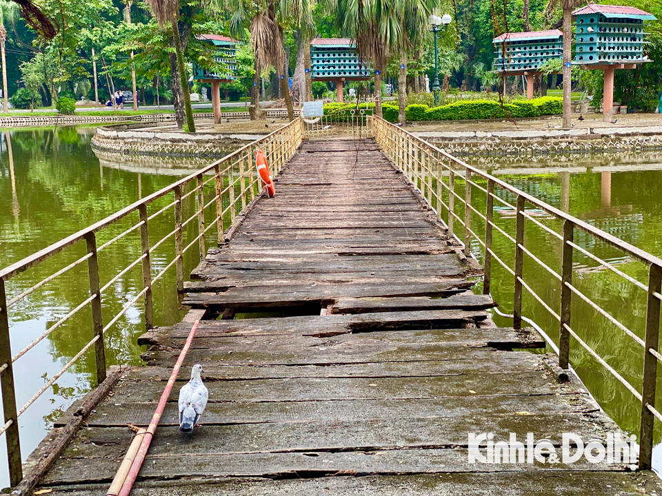 Khu vực cầu gỗ nối ra đảo tr&ograve;n đ&atilde; bị mục n&aacute;t, xuống cấp trầm trọng v&agrave; được treo biển ngừng sử dụng ph&iacute;a ngo&agrave;i cầu.