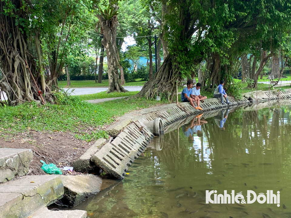 Khu k&egrave; bờ hồ c&oacute; phần sụt l&uacute;n, những phiến gạch l&aacute;t bờ hồ trồi sụt vừa g&acirc;y mất mỹ quan vừa kh&ocirc;ng đảm bảo an to&agrave;n được cho người d&acirc;n khi đi dạo trong khu&ocirc;n vi&ecirc;n.