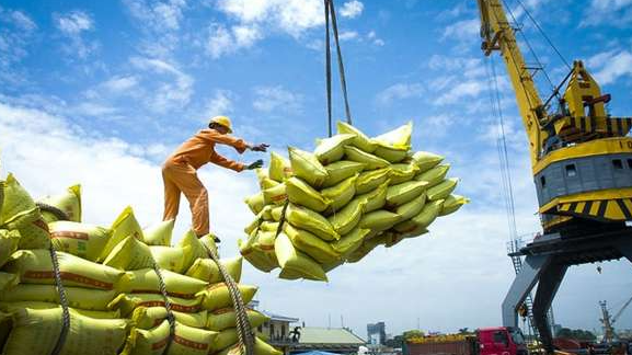 Năm 2023, Việt Nam xuất khẩu được hơn 7,9 triệu tấn gạo, trị gi&aacute; hơn 4,5 tỷ USD. Ảnh minh họa