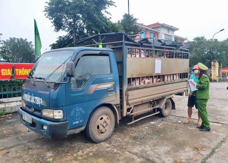 Kiểm so&aacute;t vận chuyển gia s&uacute;c, gia cầm tại tỉnh Quảng Trị.