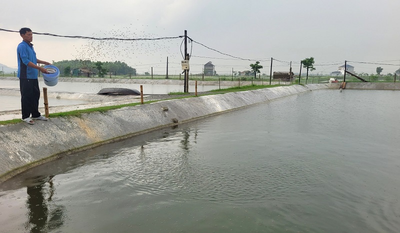 Chủ động ph&ograve;ng, chống mưa b&atilde;o, &aacute;p dụng đồng bộ c&aacute;c biện ph&aacute;p kỹ thuật l&agrave; yếu tố quan trọng nhằm n&acirc;ng cao hiệu quả kinh tế trong nu&ocirc;i trồng thủy sản