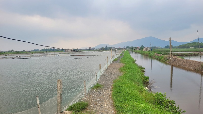 Hầu hết hệ thống ao hồ nu&ocirc;i&nbsp; trồng thủy sản ở H&agrave; Tĩnh đều được gia cố, n&acirc;ng cấp đảm bảo an to&agrave;n