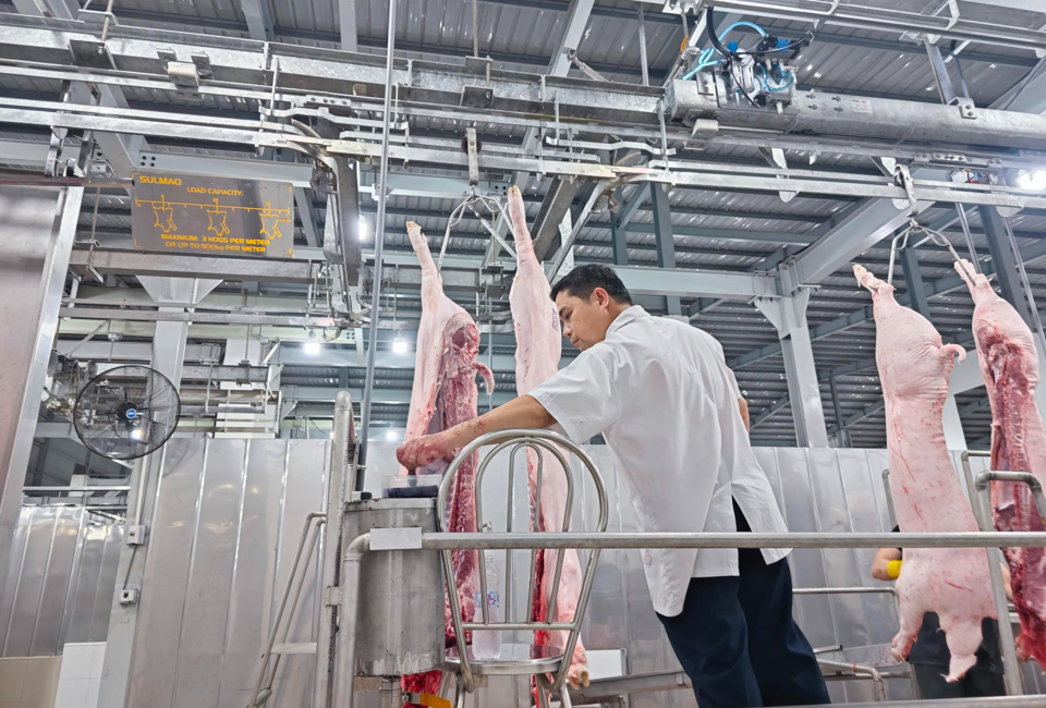 Bộ Thương mại Mỹ dự b&aacute;o sản lượng thịt heo của Việt Nam trong năm 2024 sẽ tăng 5% so với năm 2023, l&ecirc;n mức 3,7 triệu tấn. (Ảnh minh họa)