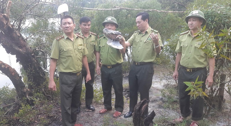 L&atilde;nh đạo Chi cục Kiểm l&acirc;m H&agrave; Tĩnh tiến h&agrave;nh kiểm tra, xử l&yacute;&nbsp;t&igrave;nh trạng săn bắt, mua b&aacute;n chim di cư&nbsp;