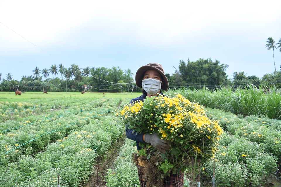 Kết hợp sản xuất n&ocirc;ng nghiệp với du lịch sẽ l&agrave;m tăng lợi &iacute;ch kinh tế cho người d&acirc;n.