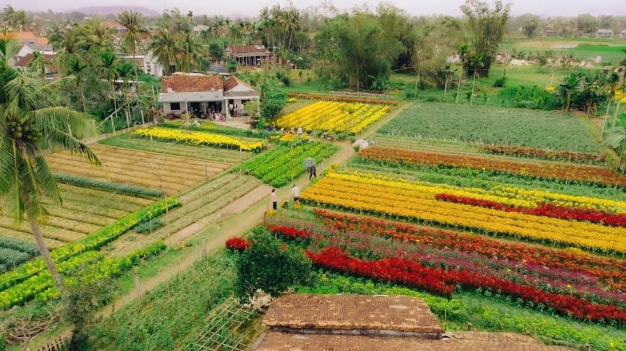 Nghĩa H&agrave; trồng đa dạng c&aacute;c loại hoa để phục vụ thị trường v&agrave; du kh&aacute;ch.