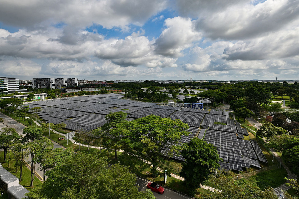 C&aacute;c tấm pin năng lượng mặt trời ở Singapore. Ảnh: The Straits Times