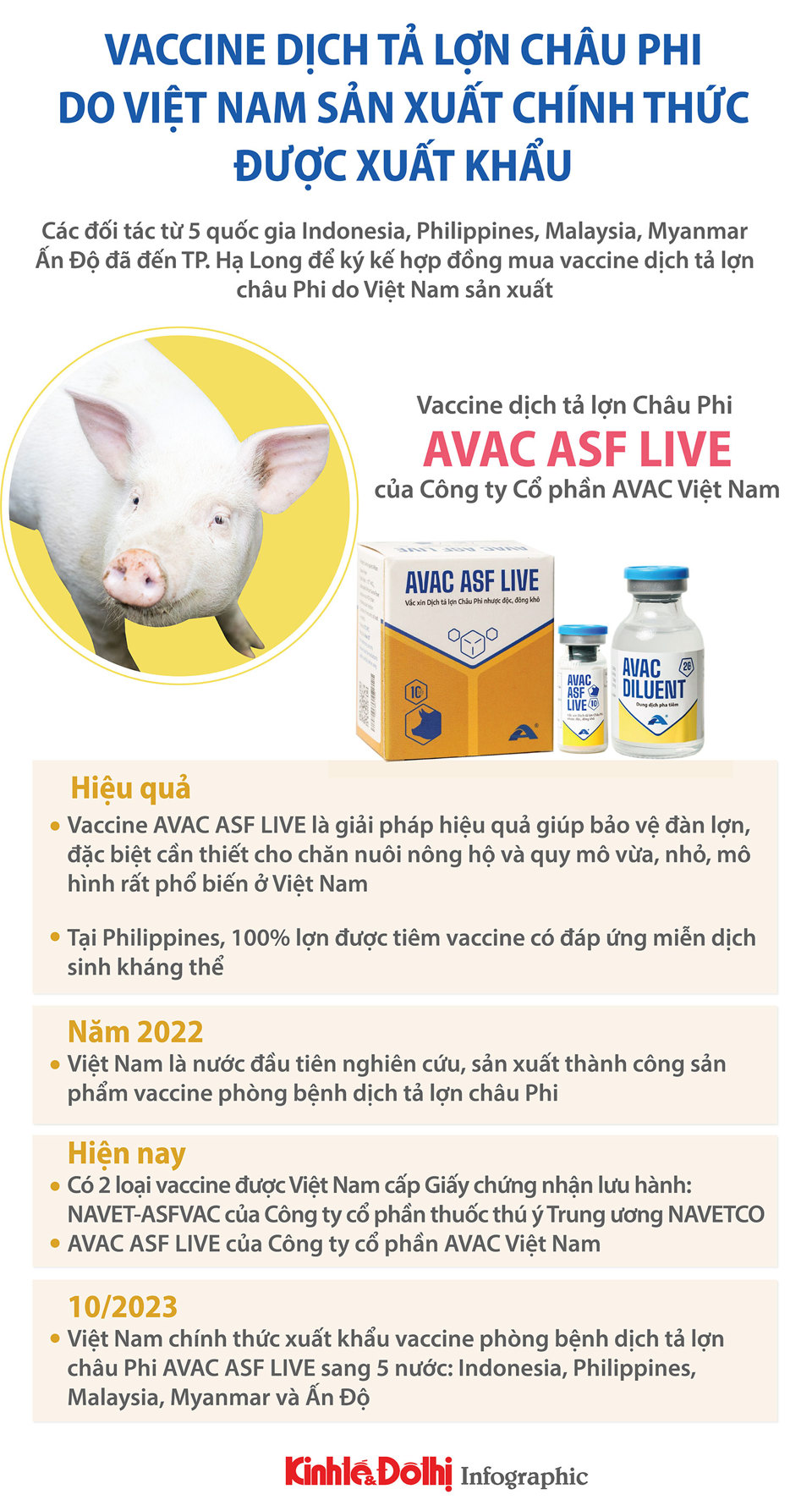 Vaccine dịch tả lợn châu Phi do Việt Nam sản xuất chính thức được xuất khẩu - Ảnh 1