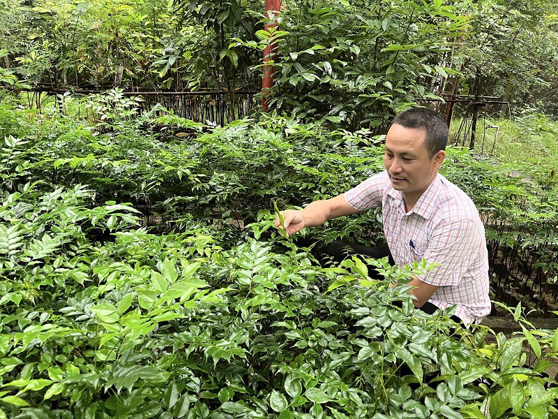 Anh L&ecirc; Thuận Ki&ecirc;n b&ecirc; c&aacute;c lo&agrave;i thực vật qu&yacute;, hiếm đang được vườn lưu giữ v&agrave; bảo tồn.