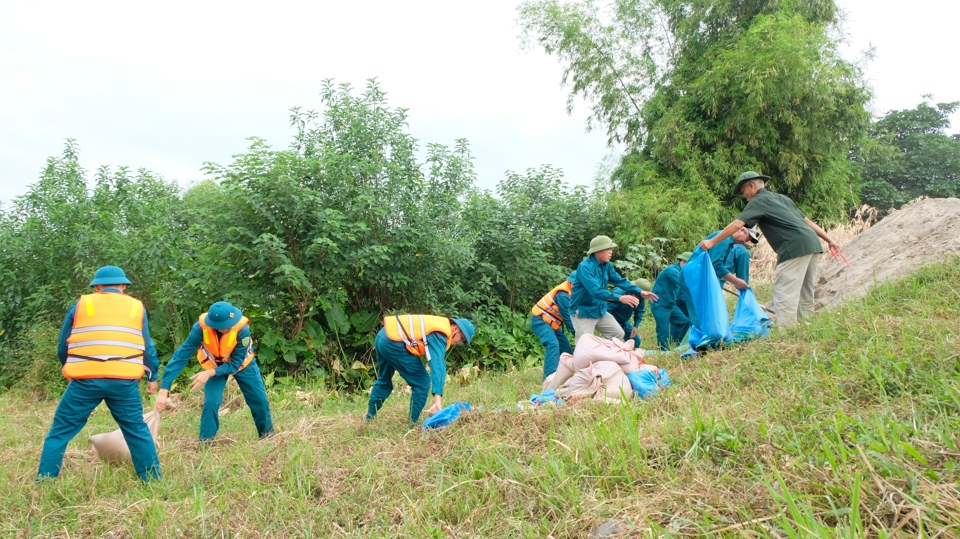 Diễn tập xử lý sự cố đê tả sông Đuống tại xã Phù Đổng (huyện Gia Lâm). Ảnh: Lâm Nguyễn