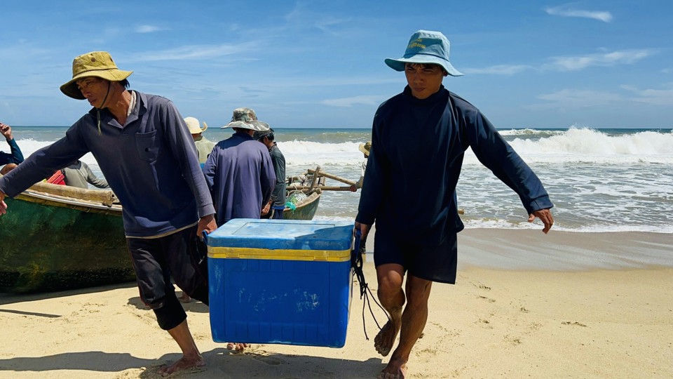 C&aacute; được bỏ v&agrave;o th&ugrave;ng giữ lạnh v&agrave; đưa ra khỏi thuyền.