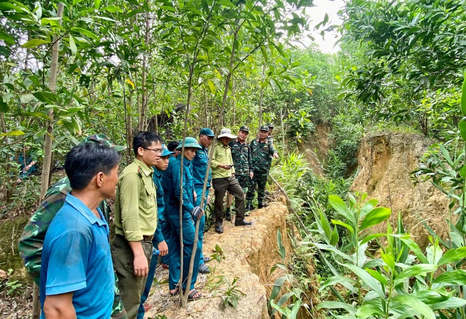 Qua kiểm tra thực tế c&aacute;c vết nứt tại n&uacute;i C&agrave; Mon, Chủ tịch UBND huyện Ba Tơ Phạm Xu&acirc;n Vinh nhận định: "C&aacute;c vết nứt k&eacute;o d&agrave;i h&agrave;ng chục m&eacute;t v&agrave; ng&agrave;y c&agrave;ng mở rộng, c&oacute; đoạn xuất hiện sụt l&uacute;n đất với độ s&acirc;u từ 6-7 m&eacute;t. Hiện huyện đang ho&agrave;n tất c&aacute;c thủ tục, triển khai thi c&ocirc;ng khu t&aacute;i định cư để c&aacute;c hộ d&acirc;n ở v&ugrave;ng c&oacute; nguy cơ sạt lở n&uacute;i C&agrave; Mon ổn định cuộc sống&rdquo;.