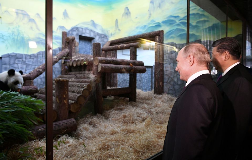Tổng thống Nga Vladimir Putin (tr&aacute;i), v&agrave; Chủ tịch Trung Quốc Tập Cận B&igrave;nh đến thăm gấu tr&uacute;c tại Vườn th&uacute; Moscow, Nga, v&agrave;o th&aacute;ng 6/2019. Ảnh: Reuters