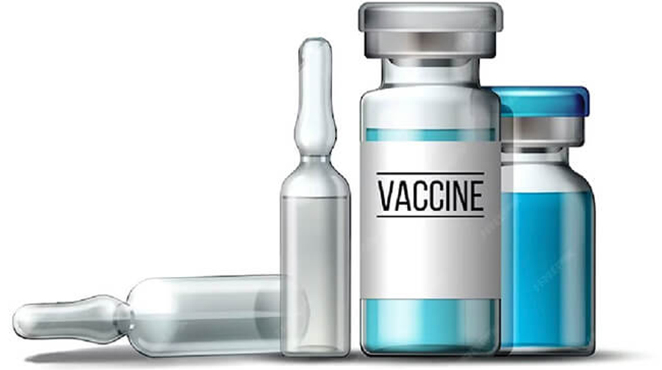 Kh&ocirc;ng ti&ecirc;m vaccine ph&ograve;ng dại khi bị ch&oacute;, m&egrave;o cắn khiến nhiều trường hợp tử vong đ&aacute;ng tiếc (Ảnh minh họa. Nguồn: Internet)