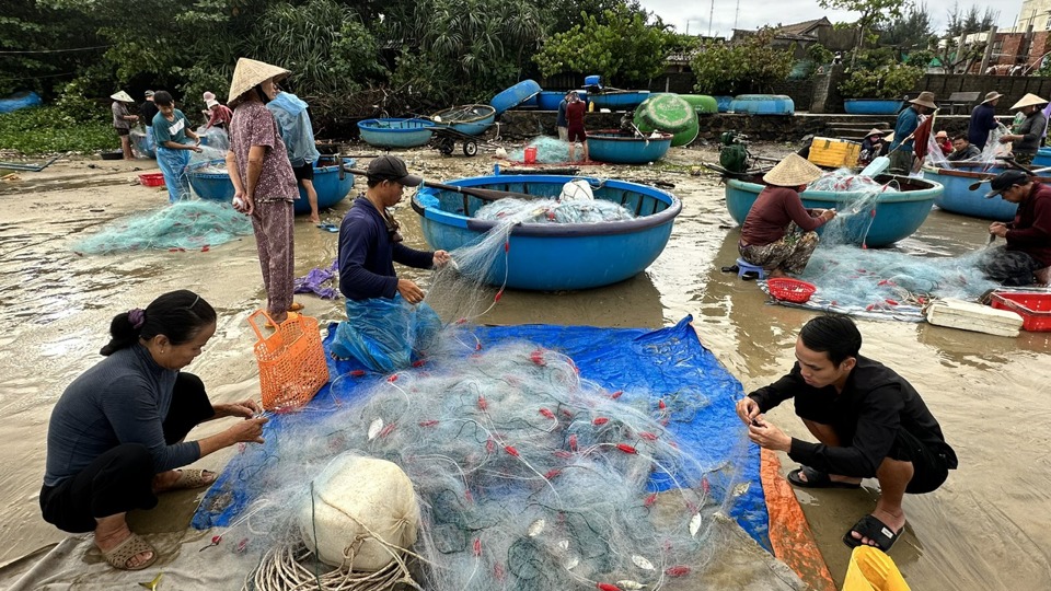 Người d&acirc;n gỡ c&aacute; khỏi lưới sau chuyến đi khai th&aacute;c