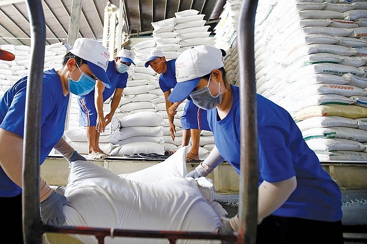 gi&aacute; gạo xuất khẩu 5% tấm của Việt Nam l&ecirc;n 653 USD/ tấn, cao nhất 15 năm. Ảnh minh họa
