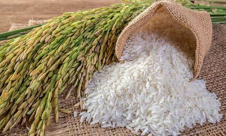 Xuất khẩu gạo 10 th&aacute;ng năm 2023 đạt 7,1 triệu tấn, đạt gần 4 tỷ USD. Ảnh minh họa