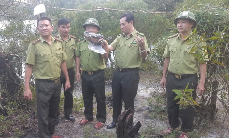 Chim mồi c&ograve;n sống&nbsp; được ph&aacute;t hiện, thả về m&ocirc;i trường tự nhi&ecirc;n