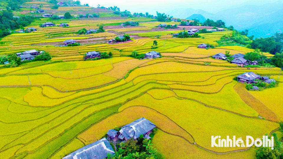 Ruộng bậc thang Ho&agrave;ng Su Ph&igrave;, H&agrave; Giang. Ảnh: Phạm H&ugrave;ng