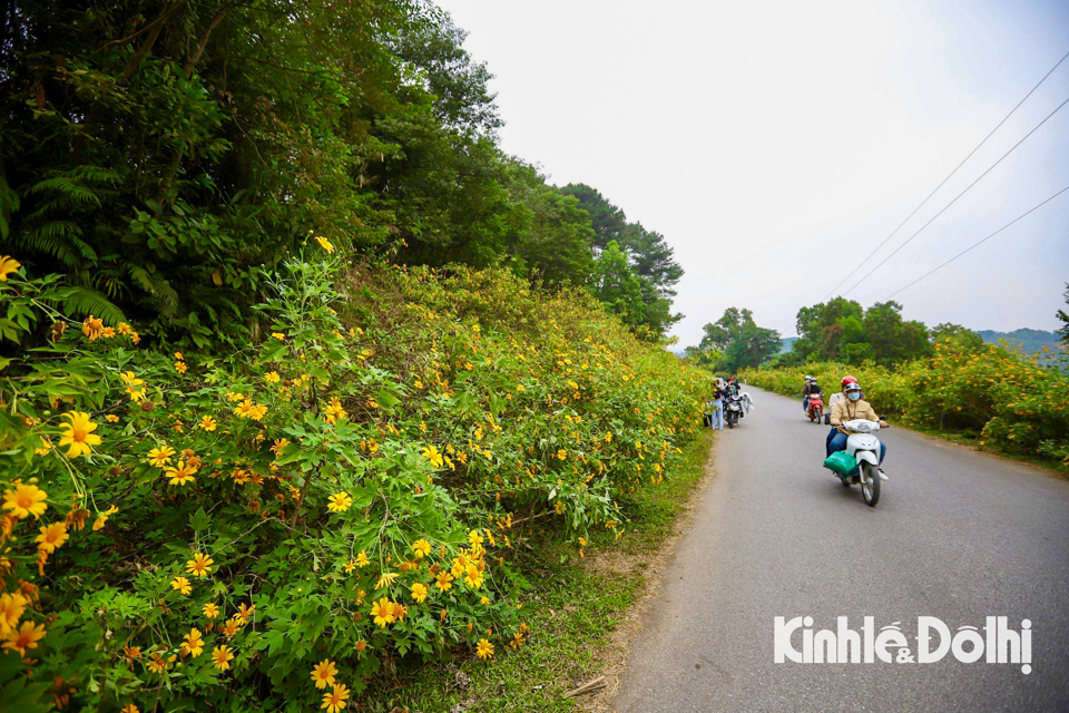 Dự b&aacute;o thời tiết H&agrave; Nội đ&ecirc;m nay v&agrave; s&aacute;ng mai trời r&eacute;t.