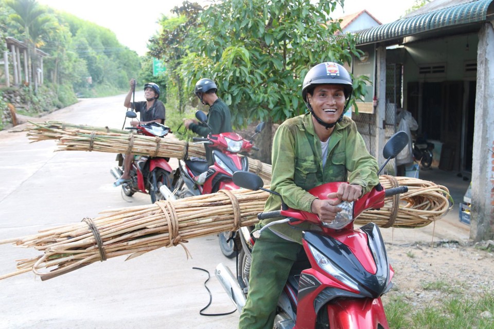 C&acirc;y m&acirc;y nước đang g&oacute;p phần tạo sinh kế bền vững cho người d&acirc;n.