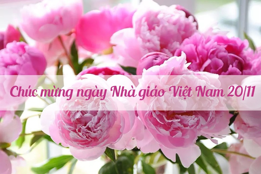 Lời ch&uacute;c Ng&agrave;y nh&agrave; gi&aacute;o Việt Nam 20/11.