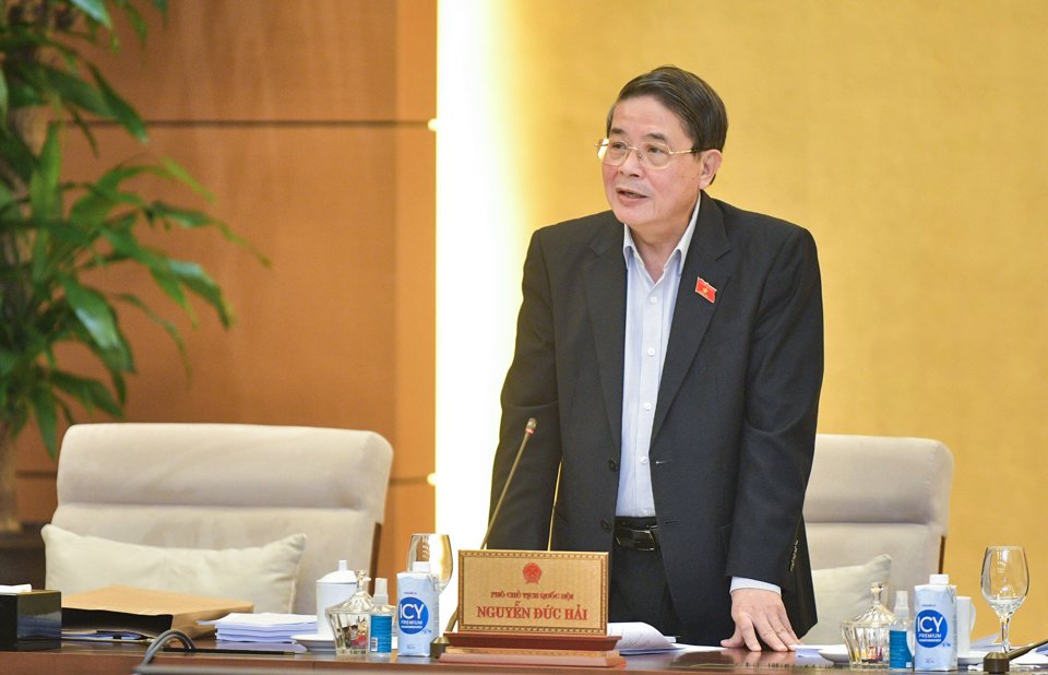 Ph&oacute; Chủ tịch Quốc hội Nguyễn Đức Hải ph&aacute;t biểu tại phi&ecirc;n họp