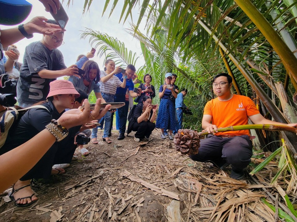 CEO Vietnipa Phan Minh Tiến khẳng định, việc gia tăng giá trị cây dừa nước không chỉ giúp thu nhập của nông dân tăng lên mà còn hạn chế tình trạng chặt phá cây này, góp phần bảo vệ môi trường. Ảnh: Tiểu Thúy
