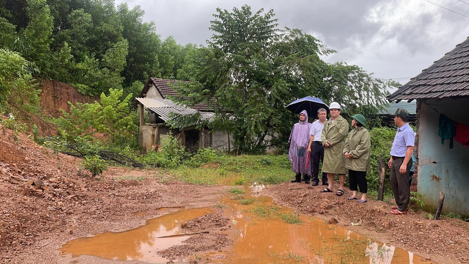 Ph&oacute; Chủ tịch UBND tỉnh Quảng Ng&atilde;i Trần Phước Hiền (giữa) kiểm tra khu vực n&uacute;i Van C&agrave; V&atilde;i. (Ảnh: PV)